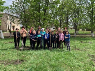  Будут снова яблони цвести!