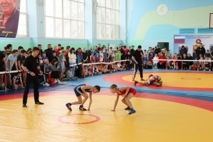 Открытый турнир по вольной борьбе среди юношей 