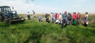 Череда субботников проходит в сельских поселениях района