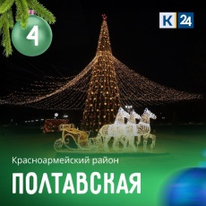 НАША ЁЛКА — ЛУЧШАЯ НА КУБАНИ!