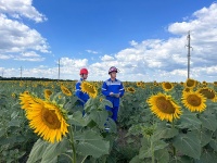 ️Специалисты Славянского филиала #РоссетиКубань повышают надежность электроснабжения жителей Красноармейского района