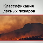 Пожары — главная опасность для лесного фонда Кубани!