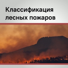 Пожары — главная опасность для лесного фонда Кубани!