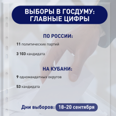 Выборы в Госдуму 