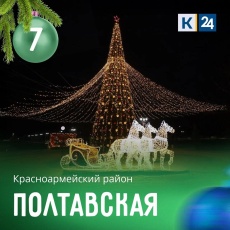 Голосуем за самую красивую новогоднюю елку!