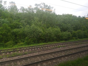 Железнодорожный транспорт играет большую роль в жизни человека. 