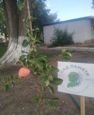 Первый урожай «Мирного сада»
