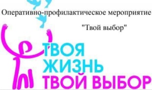 Полицейские Красноармейского района проводят оперативно-профилактическое мероприятие «Твой выбор»