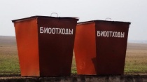 Биологические отходы необходимо утилизировать
