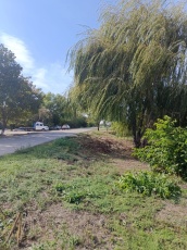 Работы выполнены