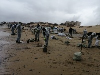 Все вместе!