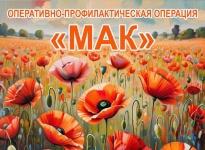 Итоги операции "Мак"