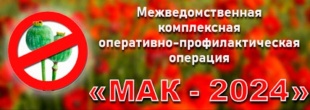 В Отделе МВД России по Красноармейскому району подвели итоги I этапа ОПМ «Мак-2024»