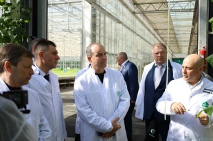 Представители ЗСК посетили сельскохозяйственные и промышленные предприятия Красноармейского района