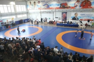 Турнир по вольной борьбе на Кубок Мастера спорта СССР Анатолия Кривоносова