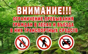 Введен режим ограничения пребывания граждан в лесах и въезда в них транспортных средств