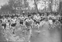 Как ГТО стал частью повседневной жизни?