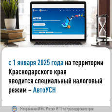 На территории Краснодарского края с 1 января 2025 года вводится специальный налоговый режим – АвтоУСН