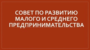 Совет по развитию предпренимательства