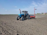 На предприятиях Красноармейского района в разгаре сев технических культур