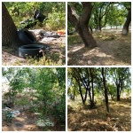 На территории дендрария в Новомышастовской навели порядок