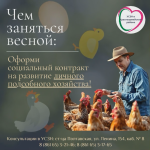 Предлагаем оформить социальный контракт на ведение личного подсобного хозяйства!