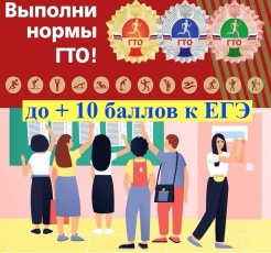 ГТО сдают выпускники