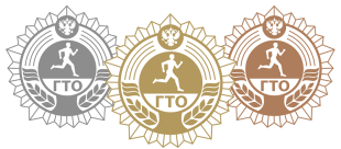 Знак отличия ГТО – символ достижений и упорства