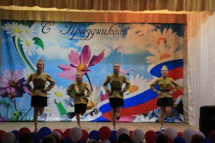 День Чебургольского сельского поселения