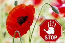 Оперативно-профилактической операции «Мак»