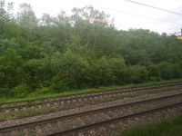 Железнодорожный транспорт играет большую роль в жизни человека. 