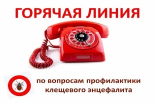Всероссийская горячая линия, посвященная профилактике клещевого энцефалита