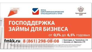  Государственная поддержка бизнеса