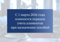 Новые правила расчета алиментов с 1 марта 2026 года