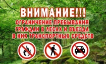 Введен режим ограничения пребывания граждан в лесах и въезда в них транспортных средств