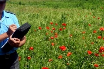 Результаты операции "Мак"