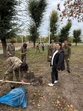 Продолжаем высаживать «Мирный сад» 