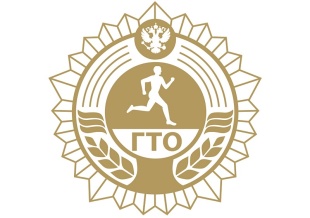 ГТО для студентов: сила, здоровье и новые возможности