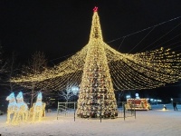 Победитель чемпионата елок: глава Полтавского сельского поселения получил награду