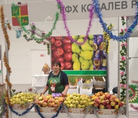 Новогодняя ярмарка продолжается