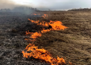 Соблюдайте правила пожарной безопасности!