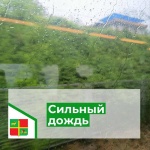 Экстренное предупреждение