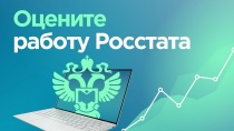 Поделитесь своим мнением о работе Росстата