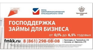 Государственная поддержка бизнеса