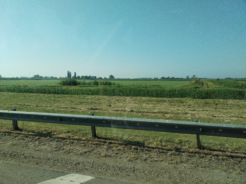 photo1716204597 (1).jpeg