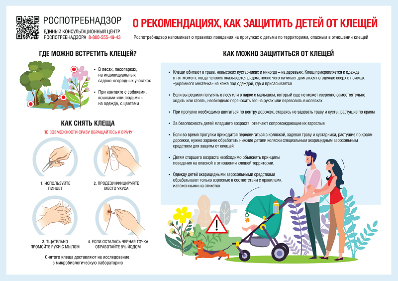 Как защитить детей от клещей (1).png