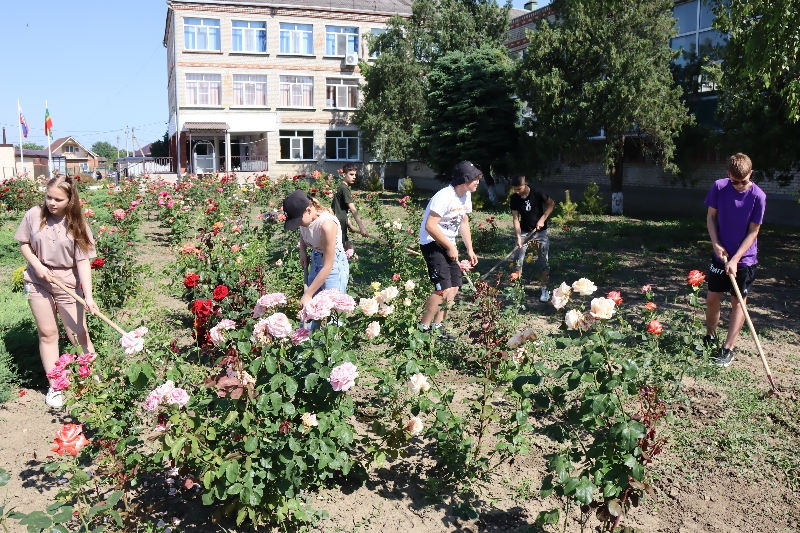 Потрудиться и отдохнуть