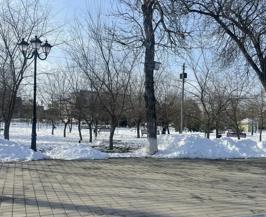 парк1.jpg