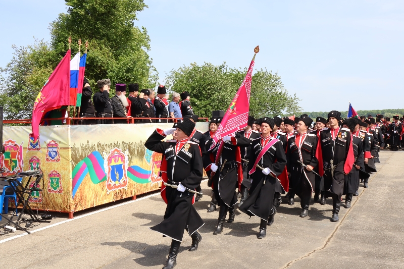 Дорогие казаки!