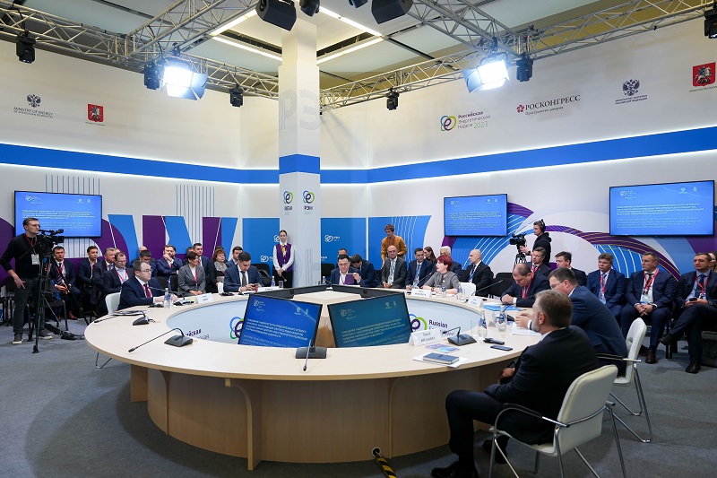 Генеральный директор ПАО ГК «ТНС энерго» Елена Стельнова приняла участие в «Российской энергетической неделе-2023»